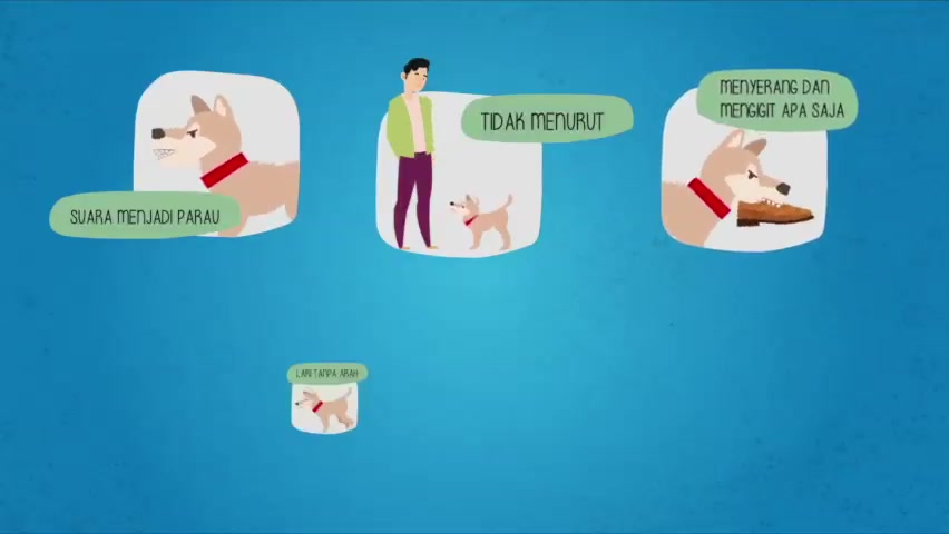 WASPADA RABIES! Rabies bukan penyakit yang bisa diremehkan, yuk cegah ...