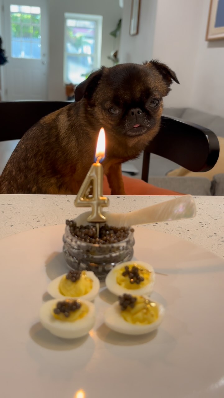 Finally got to try caviar 🥚 Happy birthday to me!!! 🥳 I love these eggs ...