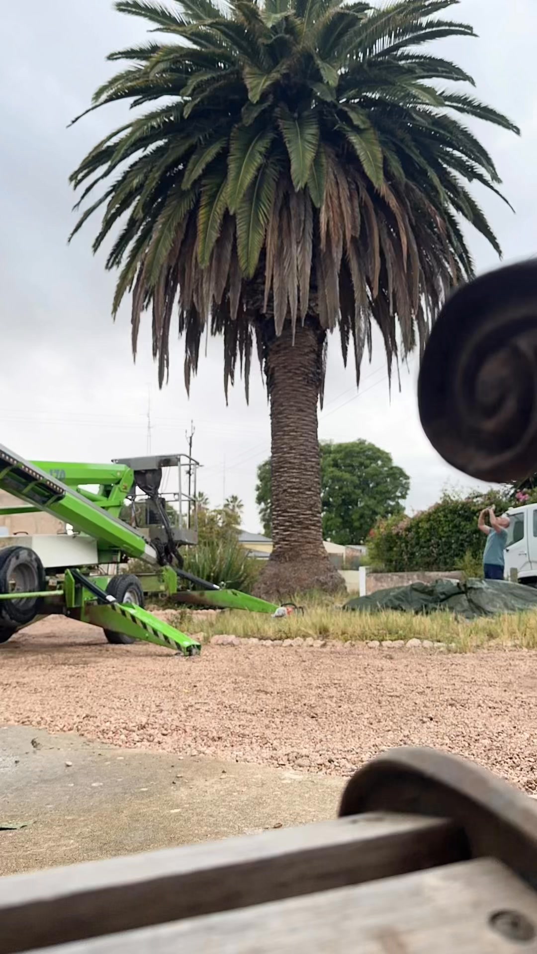T&J Tree Professionals Pty Ltd | Balaklava SA