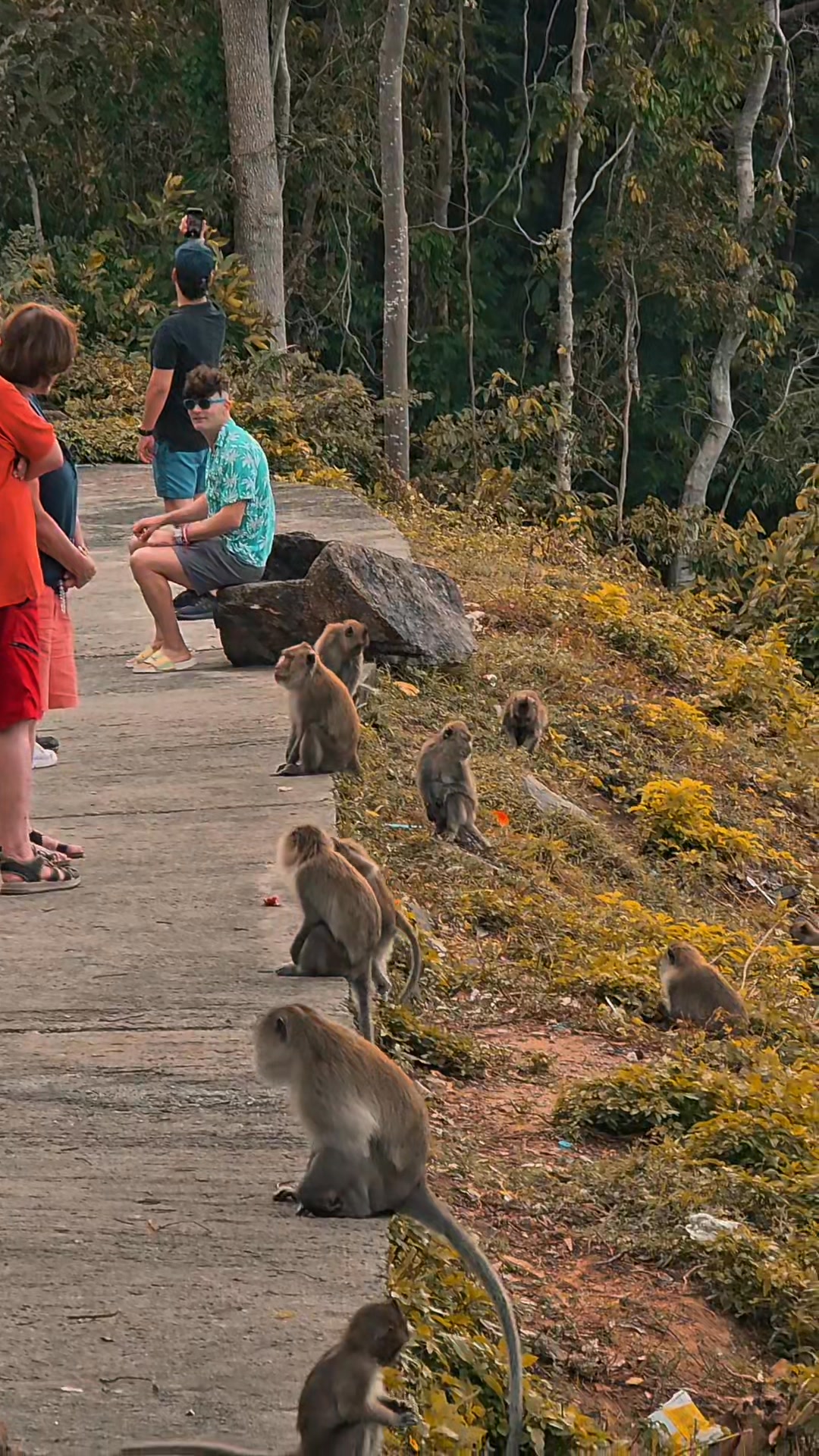 Koh Chang viewpoint, lots of monkeys . #kohchang | Bee Photograp | Facebook