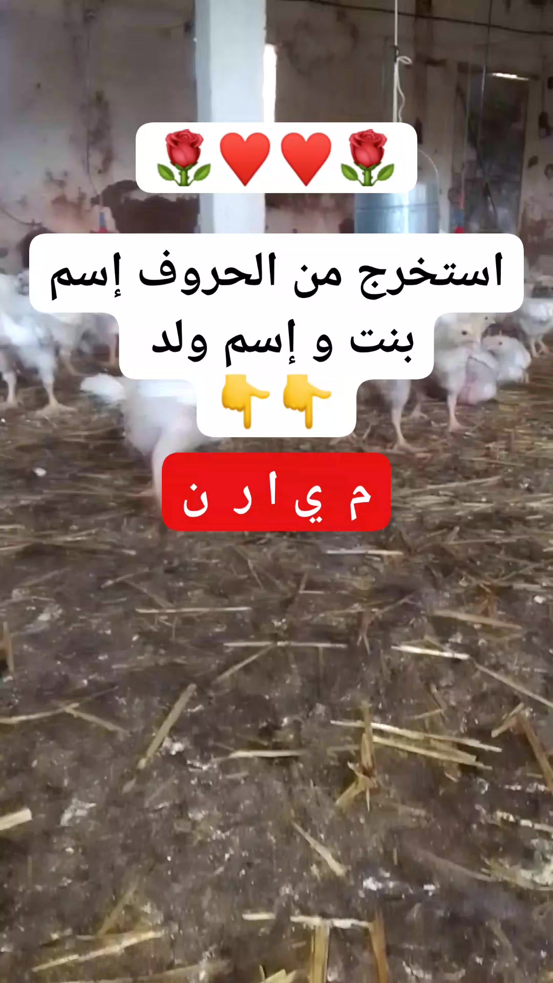 اتحداك تستخرج من هده الحروف إسم بنت و ولد 🥰🥰🥰 #ريلز #لغز #الالغاز #تحدي ...