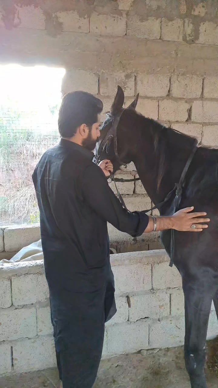 Rai Hamza Kharal
