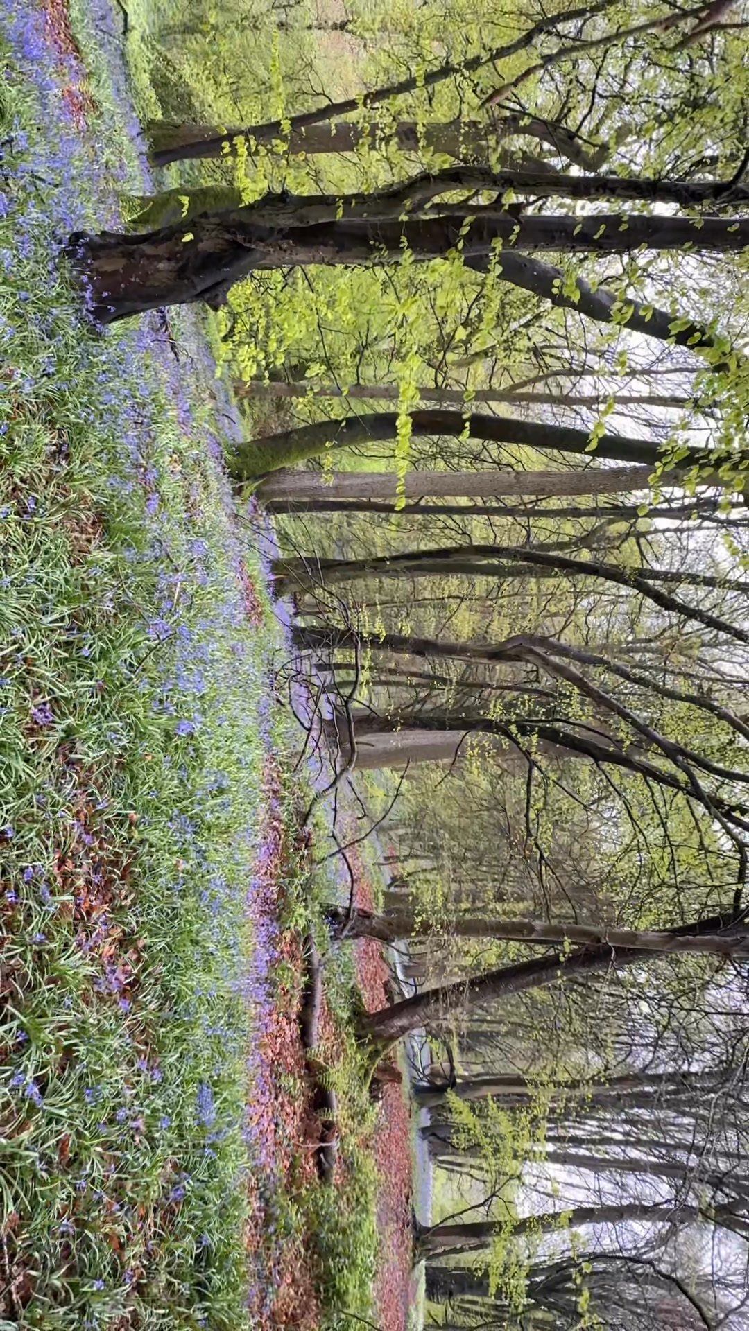 Tom Blockley Photographer