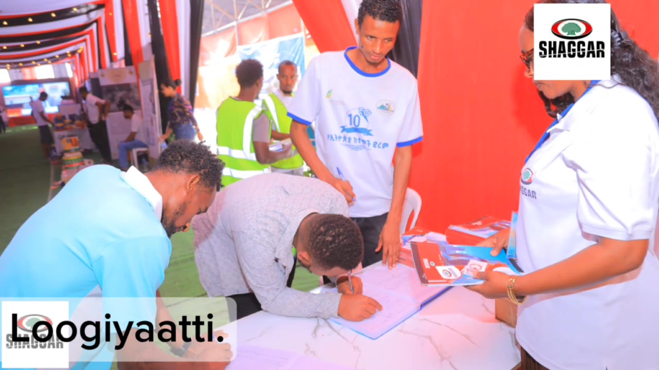 Shaggar samii Affaar Samaraa_Loogiyaa jalatti; biyya Alii Hanfireetti ...