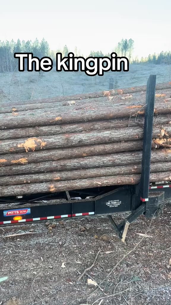 Logger work 🪚🌲💵🚜 #timberjack240 #stihl880 #stihl661 #loggerlife # ...