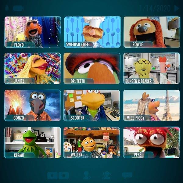 The Muppets Video Call | Muppets Now | Disney+ | The Muppets have ...