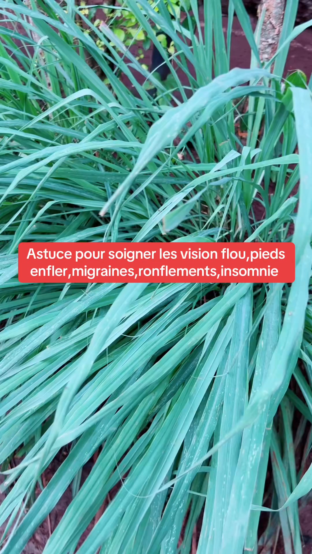 Astuce pour soigner les vision flou,pieds enfler,migraines,ronflements ...