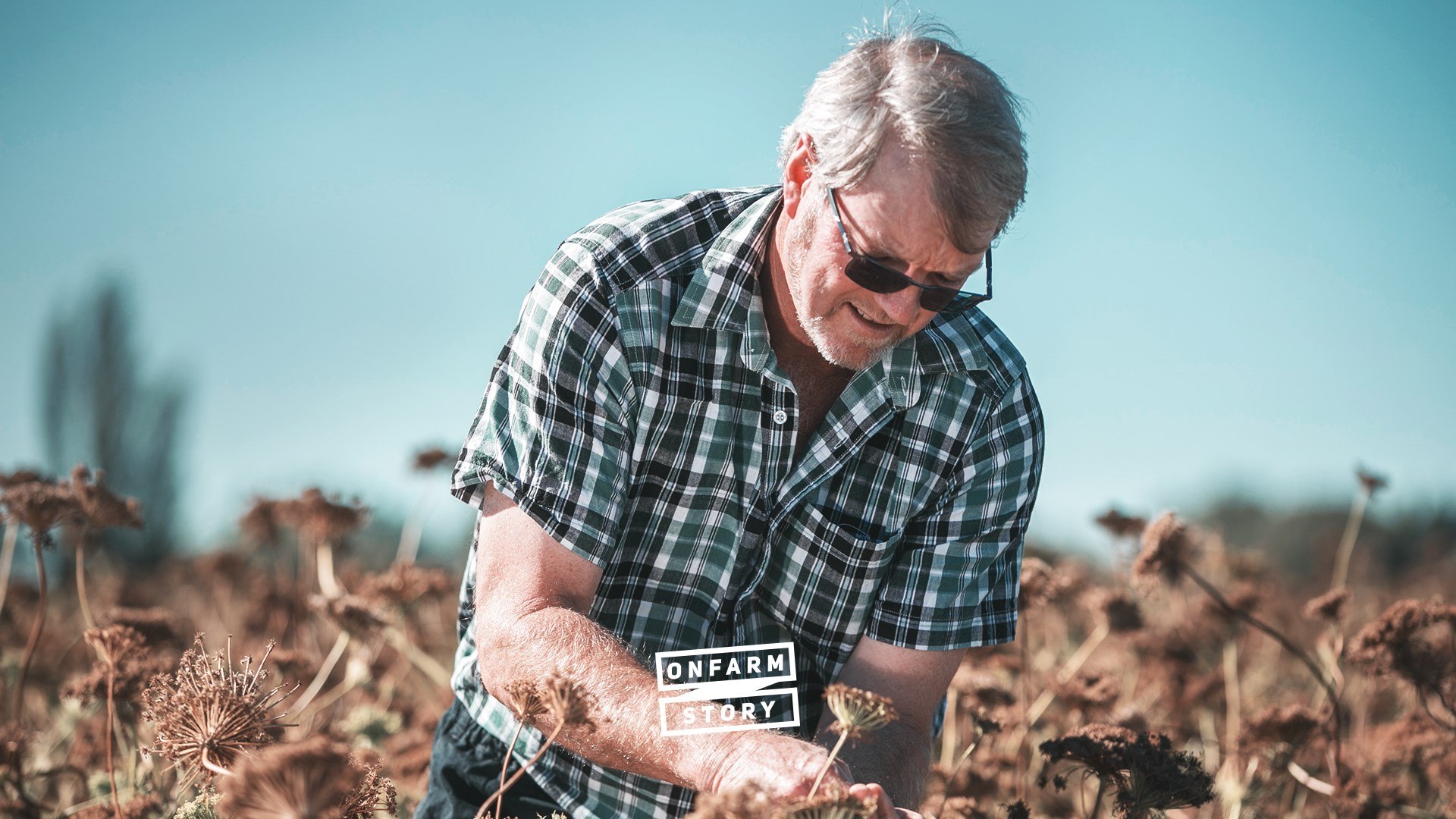 Mid Canterbury mixed arable farmers Gary and Rae Wilson are embracing ...