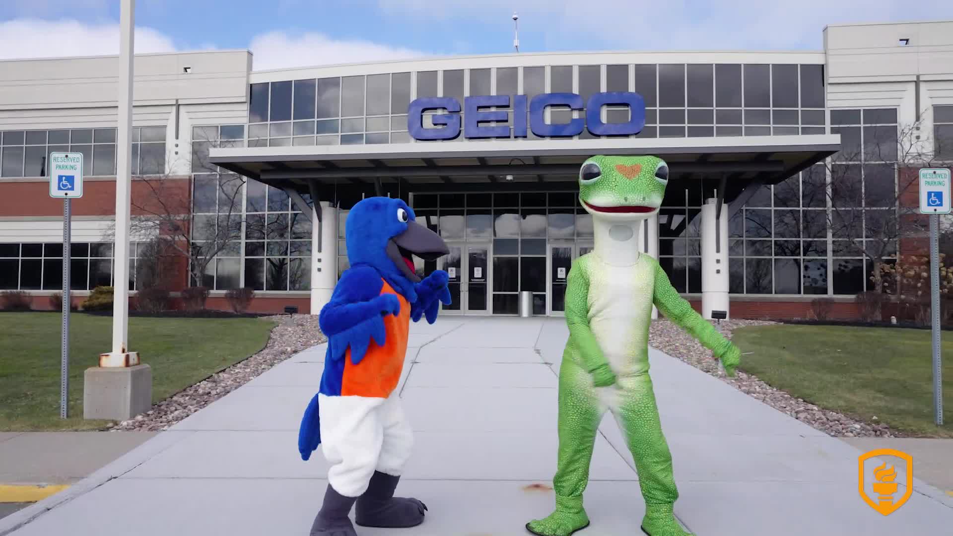 Blue took flight to Buffalo and met the GEICO Gecko. Their meeting is ...