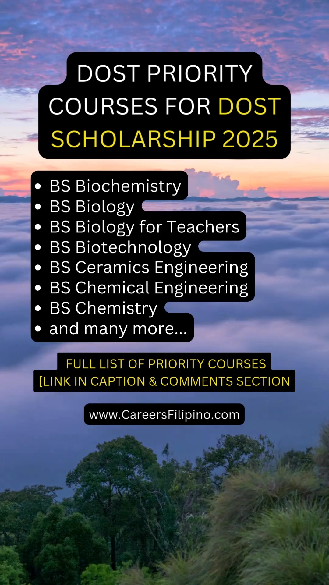Planning to apply for a DOST Scholarship? Here's the full list of DOST ...