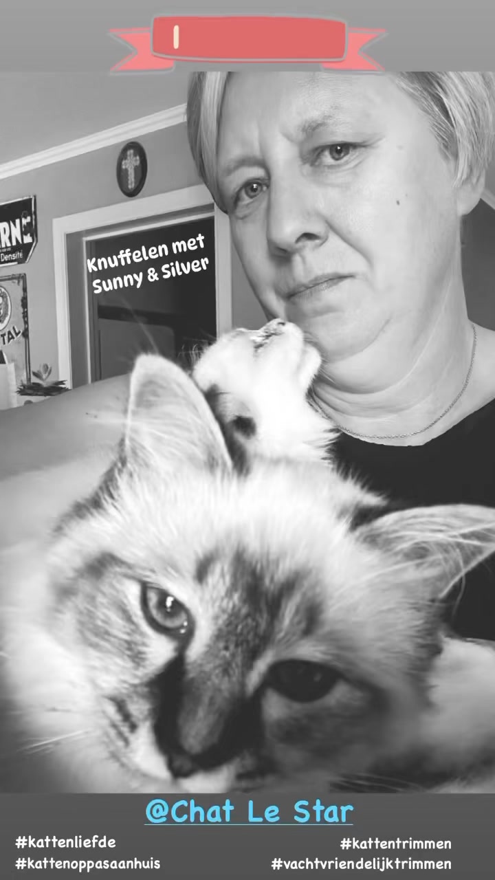 Wie is de cat-butler van Chat Le Star? 😻 Dat is Tanja. Samen met ...