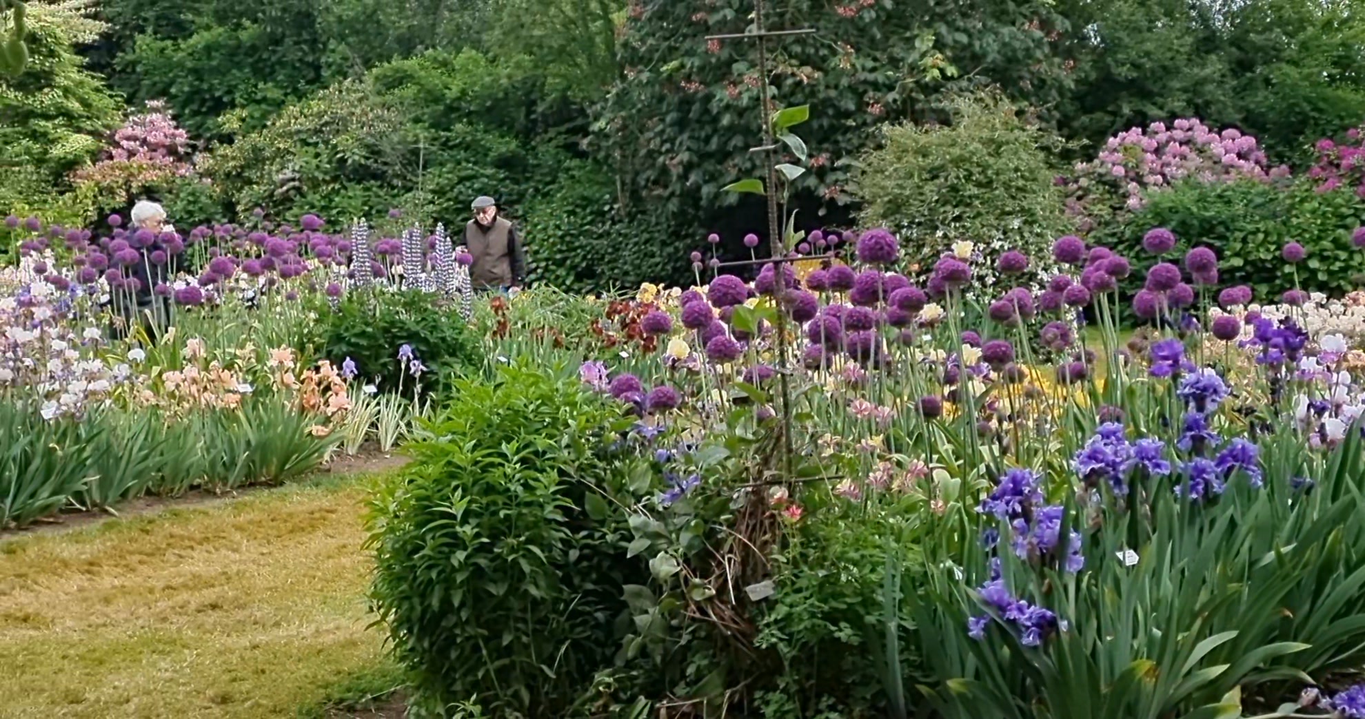 A little snippet from Schreiners Garden tonight. We paid a visit for ...