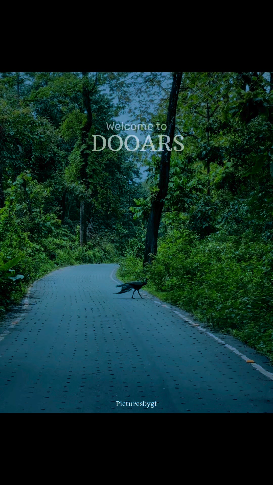 Dooars, also known as Duars, is a region in eastern-northeastern India ...
