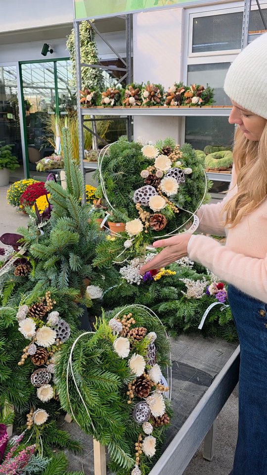 🕯️✨ Allerheiligen – ein Tag des Erinnerns ✨🕯️, In einer Woche ist es soweit – wir halten inne, um unserer Liebsten zu gedenken, die in unseren Herzen weiterleben. 💐💫, In unseren Gartencentern findest