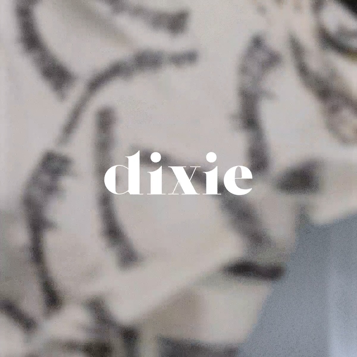 Dixie (@dixieeuro) • Facebook