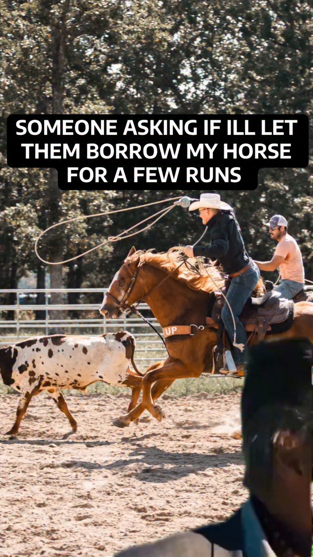 No one touches the Batman 😂 #teamroper #teamroping #rodeo #funnyvideos ...