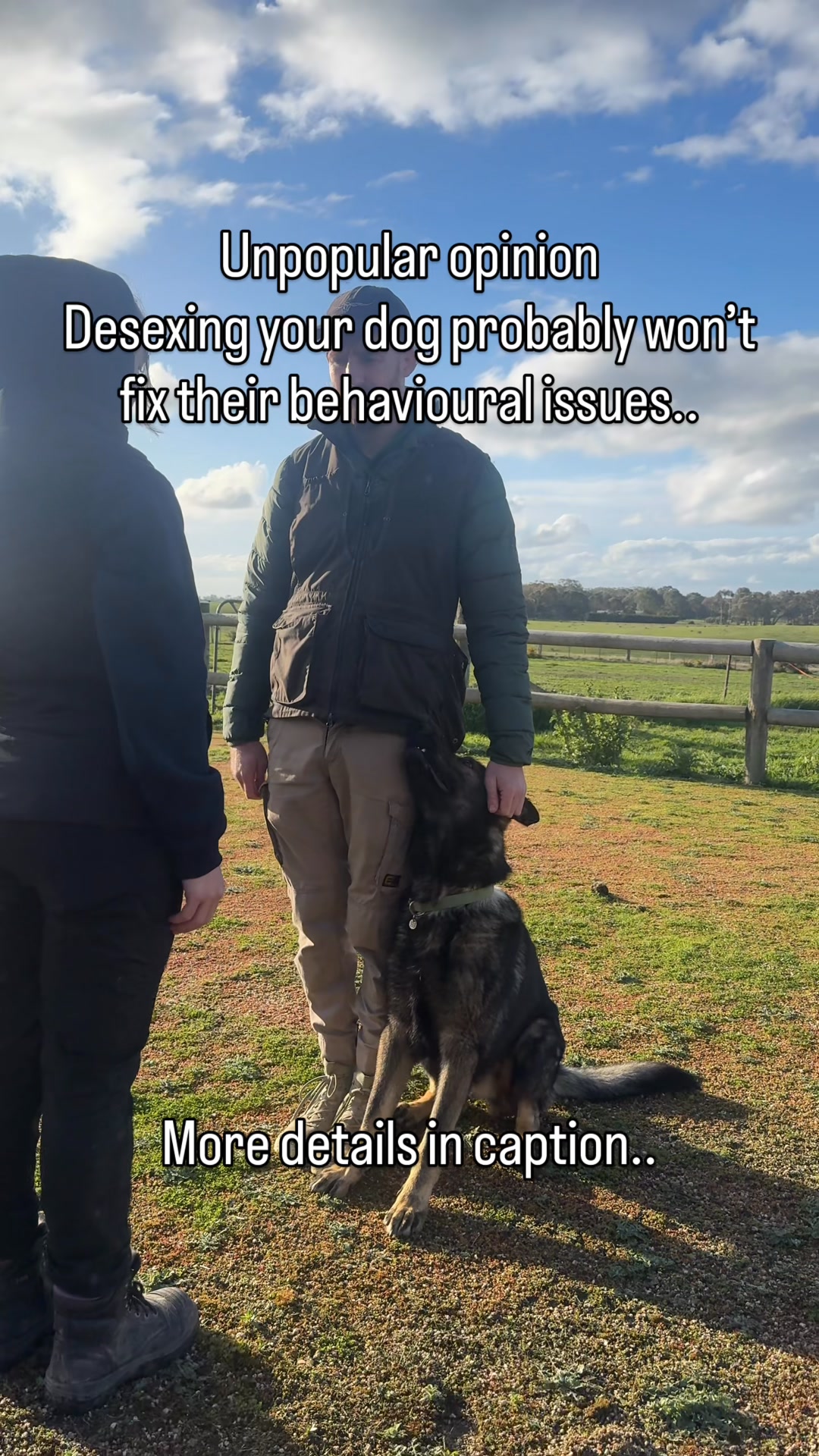 I go to countless consultations... - Jamie The Dog Trainer | Facebook