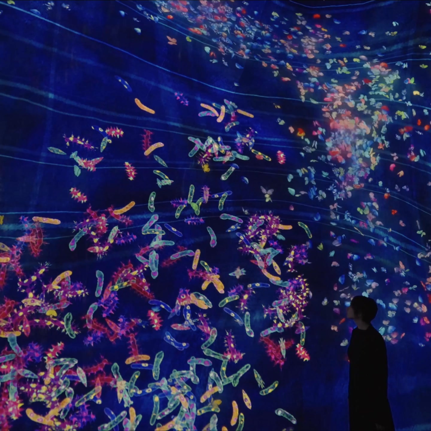On view at “teamLab Planets TOKYO DMM.com” Toyosu, Tokyo @teamlab ...
