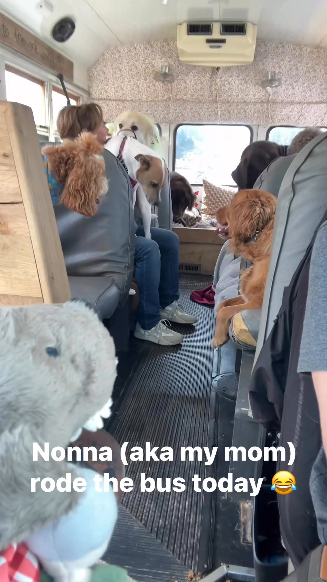 Nonna (aka my mom) rode the bus today with the Peanuts Gang. 😂😂😂 | The ...
