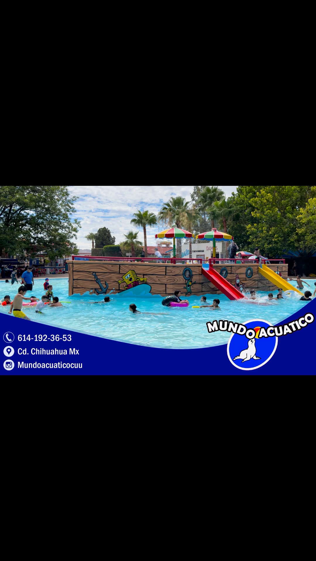 Mundo Acuático - Mundo Acuático added a new photo.