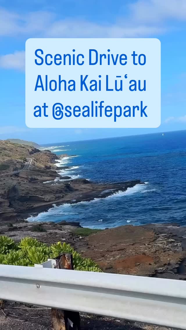 Take the Scenic Route 🌊 A drive along Oʻahu's east coast is a