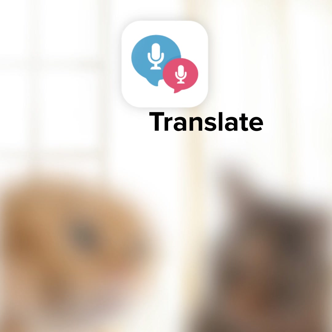 La aplicación de traducción indispensable 📲 | 🗣️ ¡Traduce voz, texto o ...