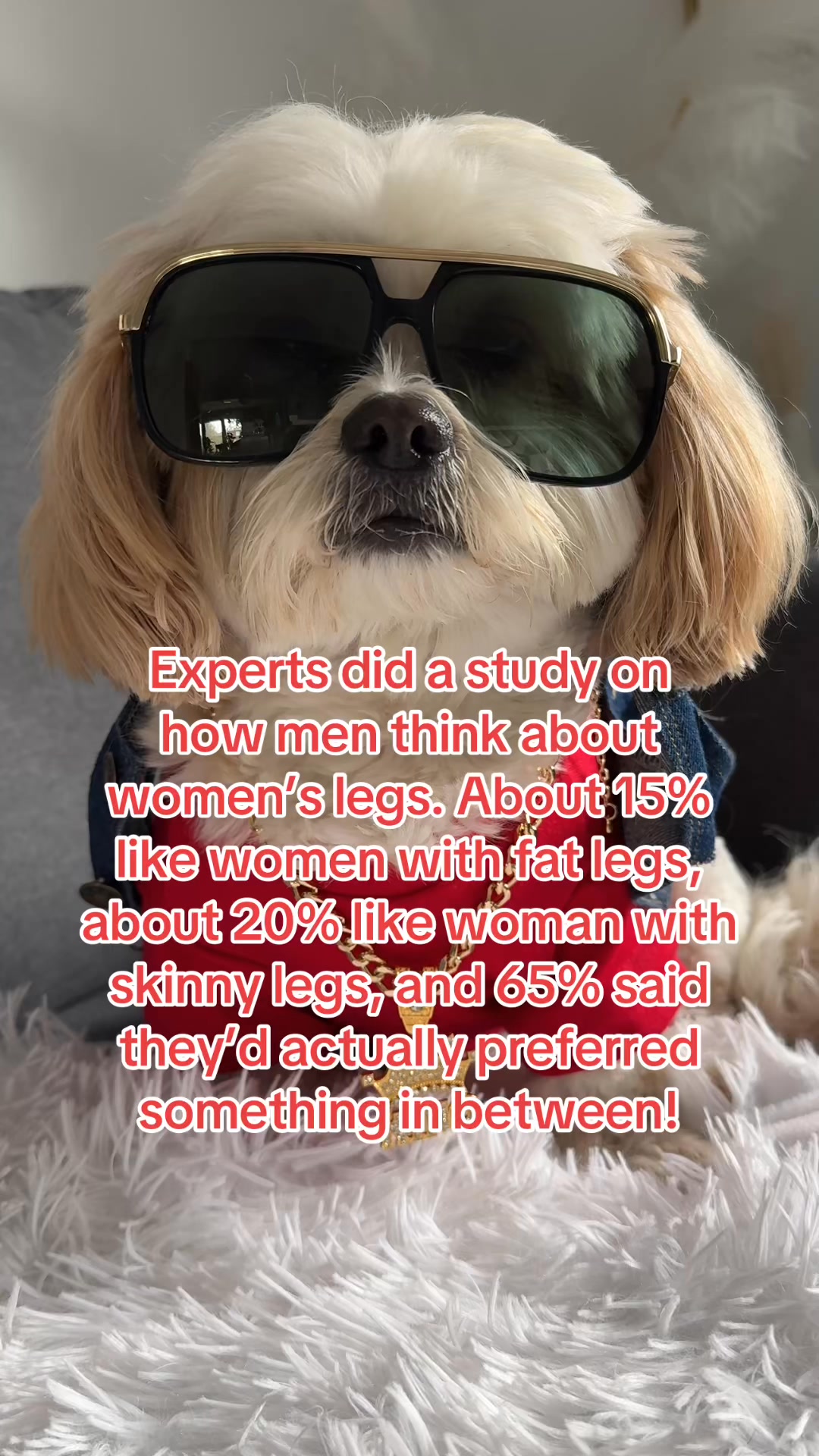 Experts say 🤪 #humor #funny #fyp #comedy #relatable #laugh #explore # ...