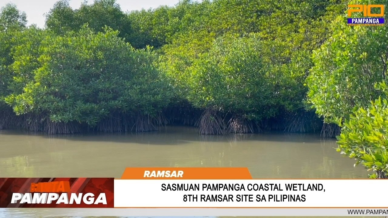 Ulat ni Gracie Rutao | Sasmuan Pampanga coastal wetlands, pinaka-una sa ...