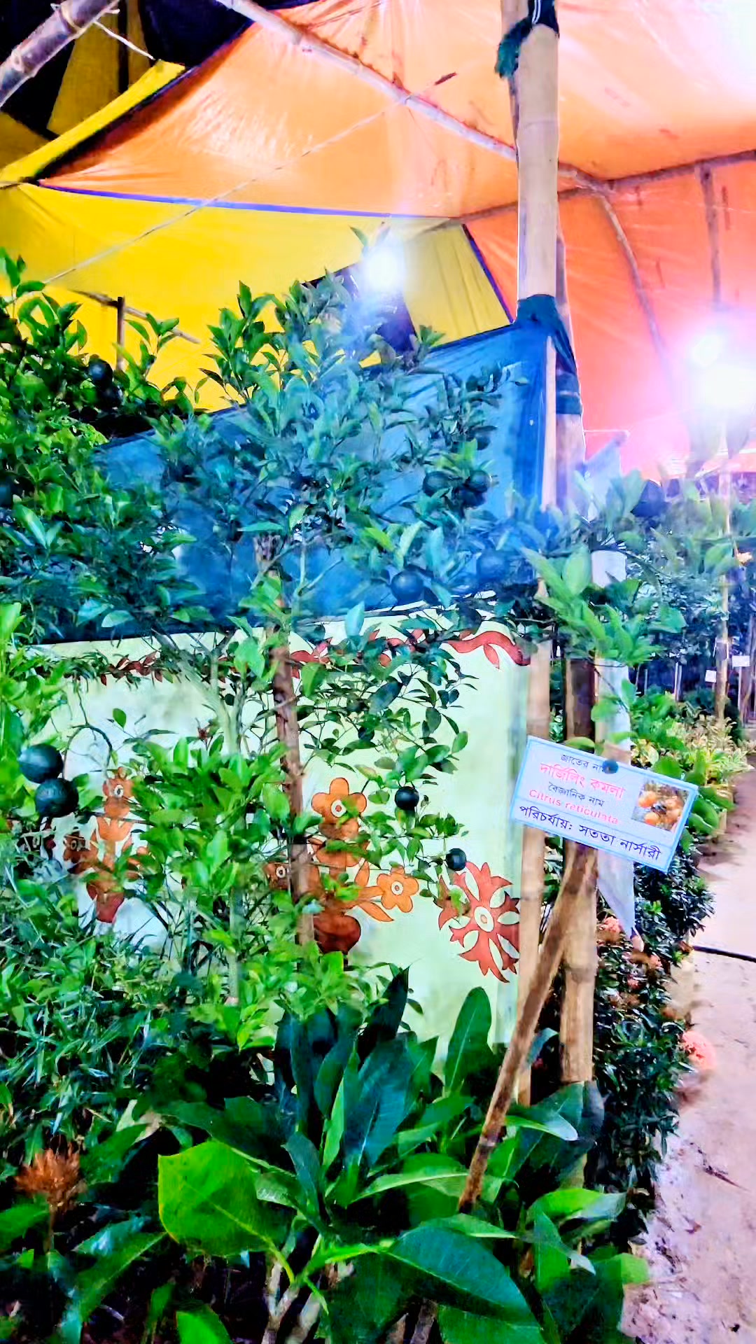 Rangpur city (রংপুর)