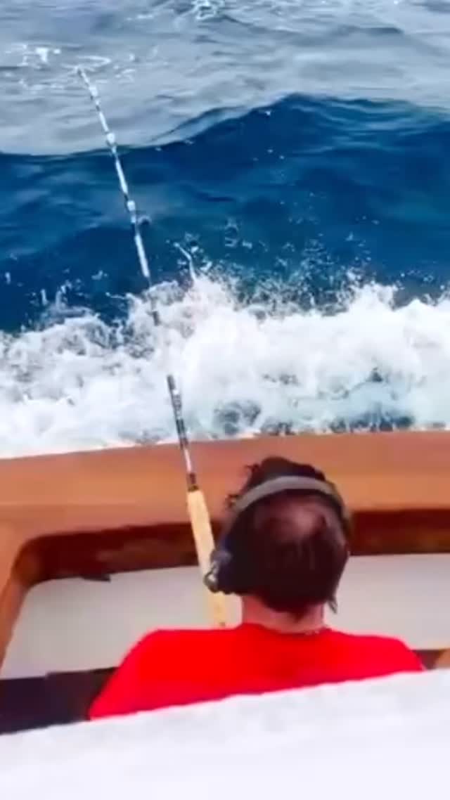 100lb braid saltwater reel Jerry Brown Hollow Core (100lb Size:C-40 Adult Toy strong fiber wire Abu Garcia Ambassadeur Catfish