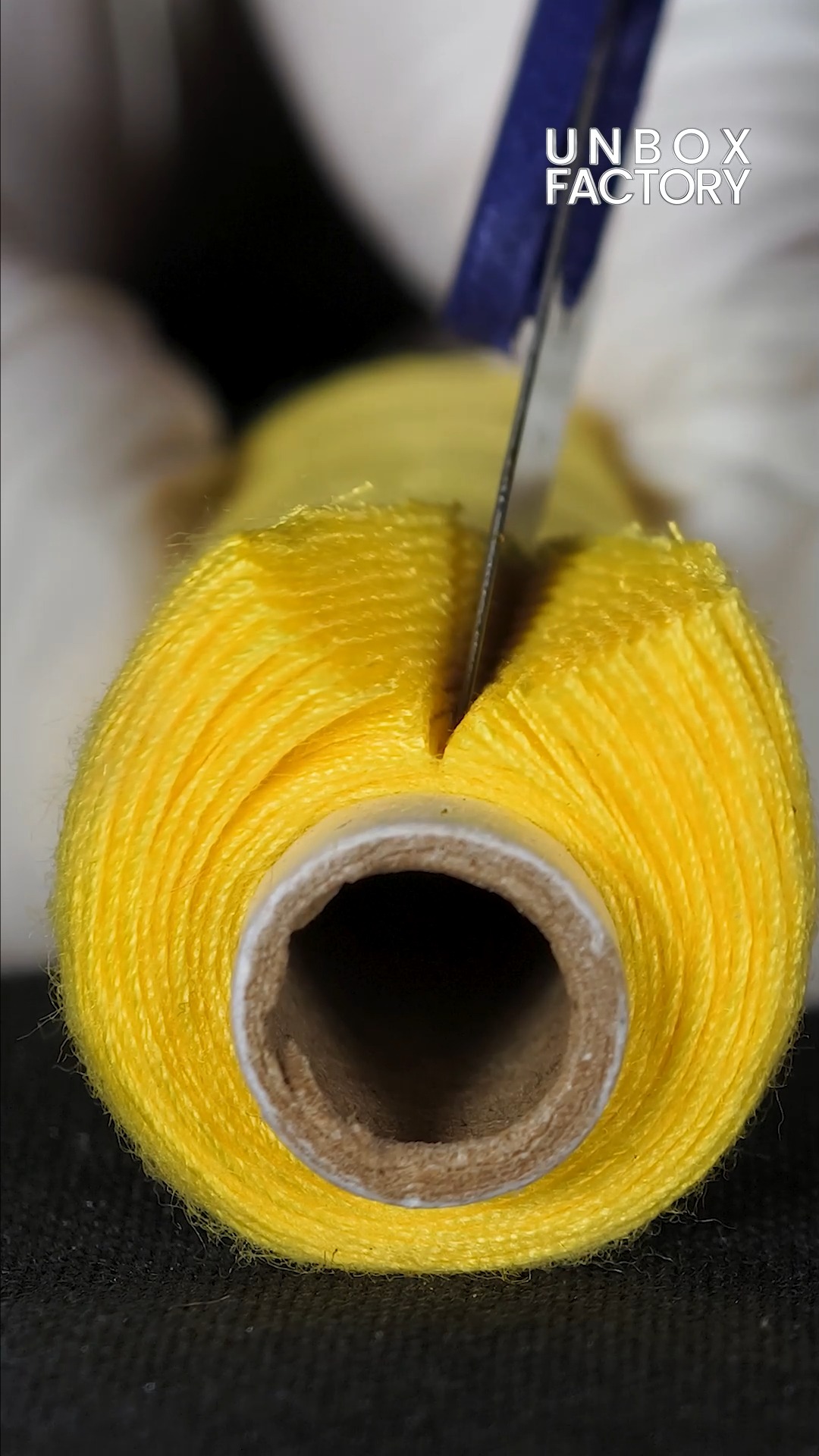 Silk Thread Meets Blade — A Beautiful Macro Break! #SilkThreadCut # ...