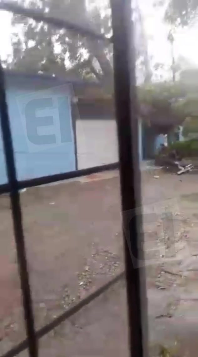 🔴 #Enterare #Múzquiz ⛈️🌳 Reportan caída de árbol 🌲 en la Universidad ...