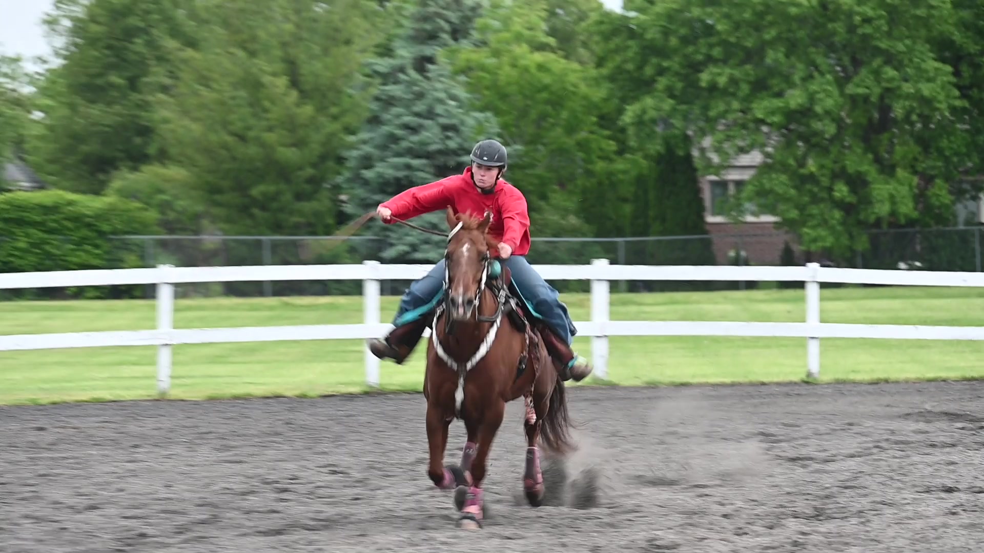 Cedar Stables Lessons 2025 MAY 25 | Equine Memories | Facebook