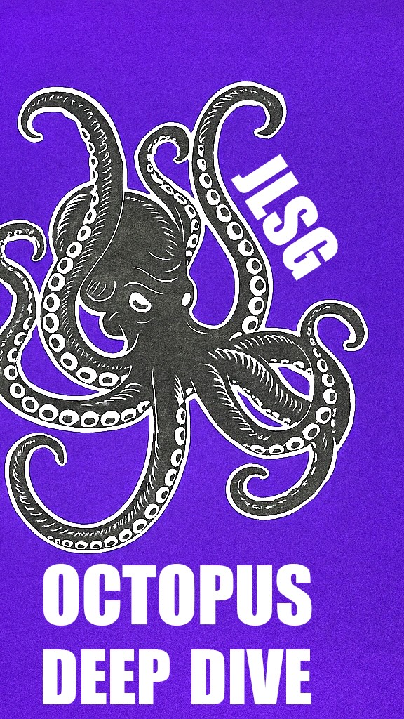 Ever wondered what the JLSG patch stands for? Take a closer look at the ...