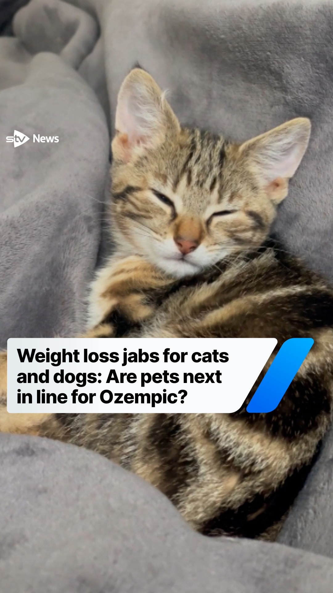 PET SAFETY‼️ GLP-1 medications have been in the spotlight lately for treating medical conditions and supporting weight loss. But with new medications come new risks for pets. Experts from the ASPCA Poison