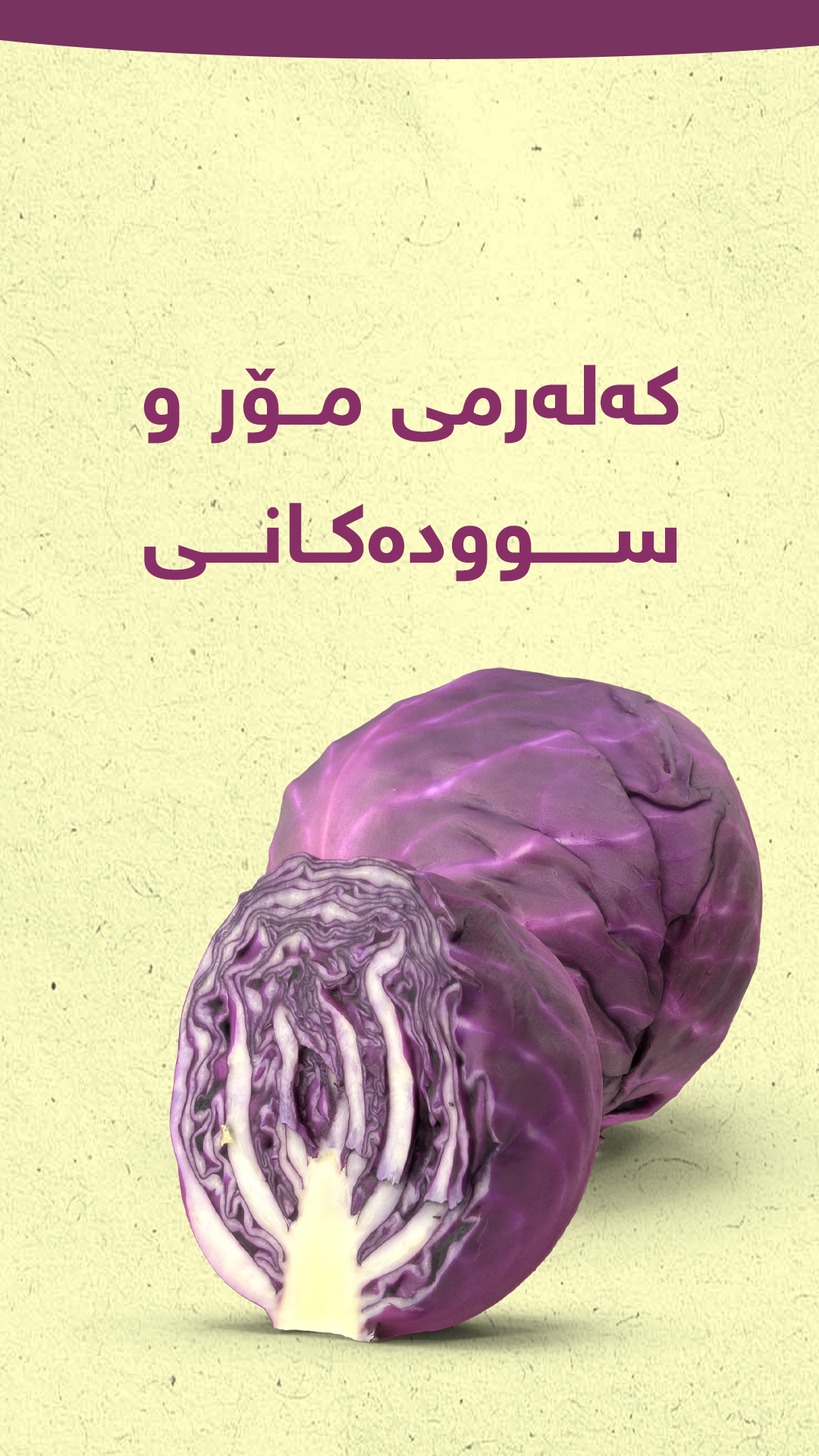 کەلەرمی مۆر و سوودەکانی #XYZplus #graphics | XYZ+ | Facebook