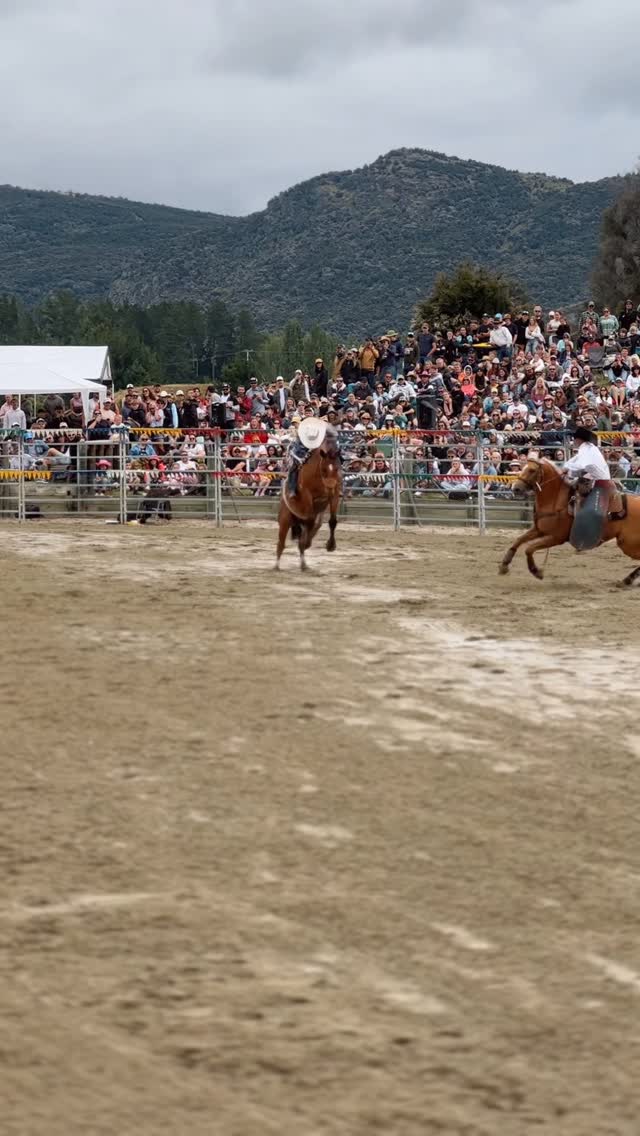 Teamwork, timing and great horses. Helping Nate Robertson safely to the ...