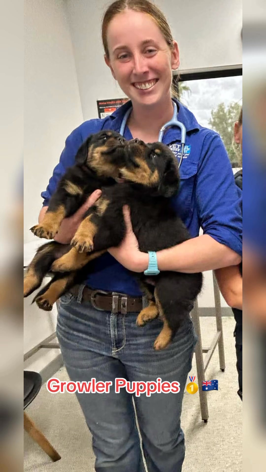Vet check 🥰 #Vetcross | Growler Rottweilers | Facebook