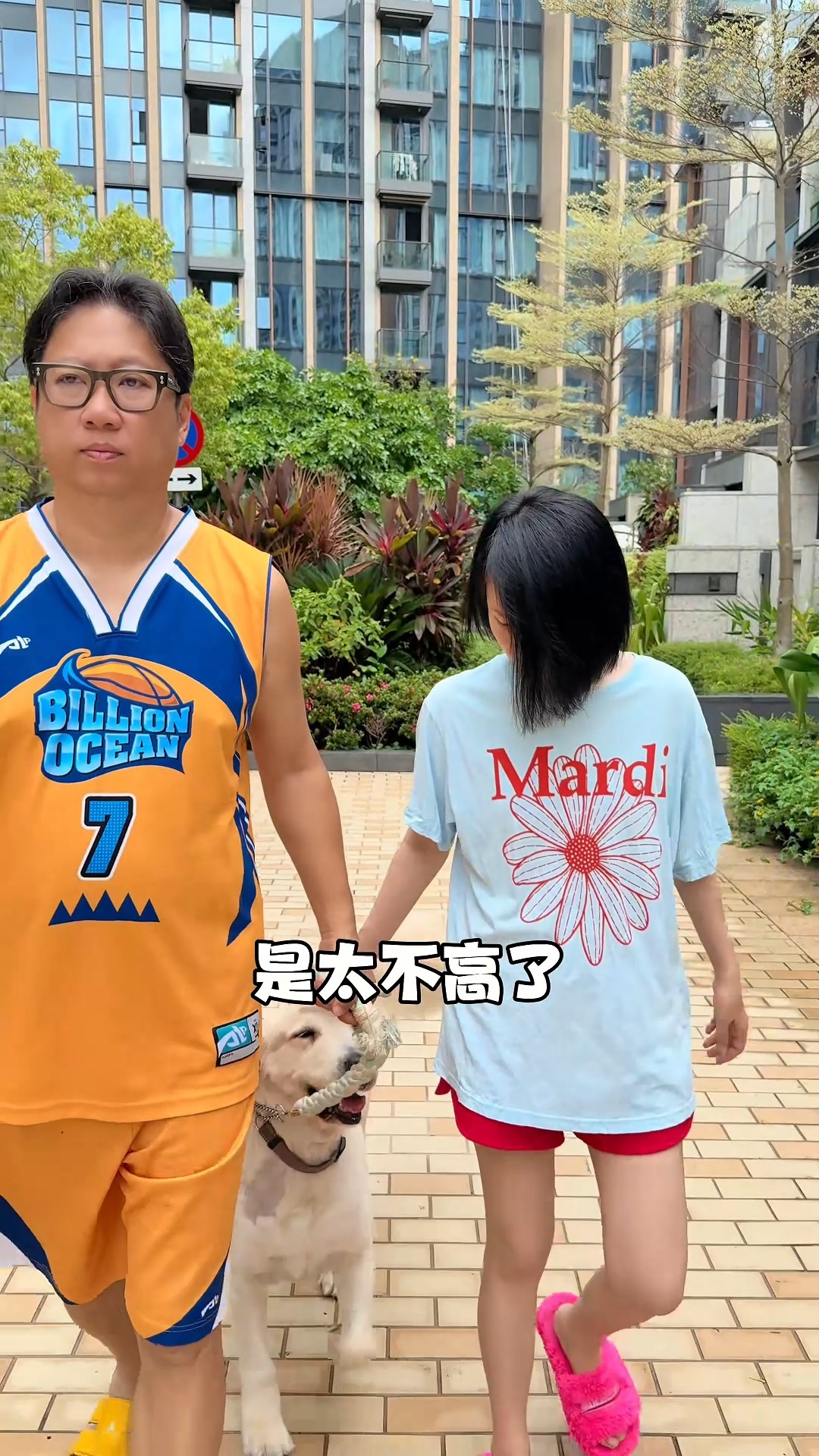 高矮胖瘦