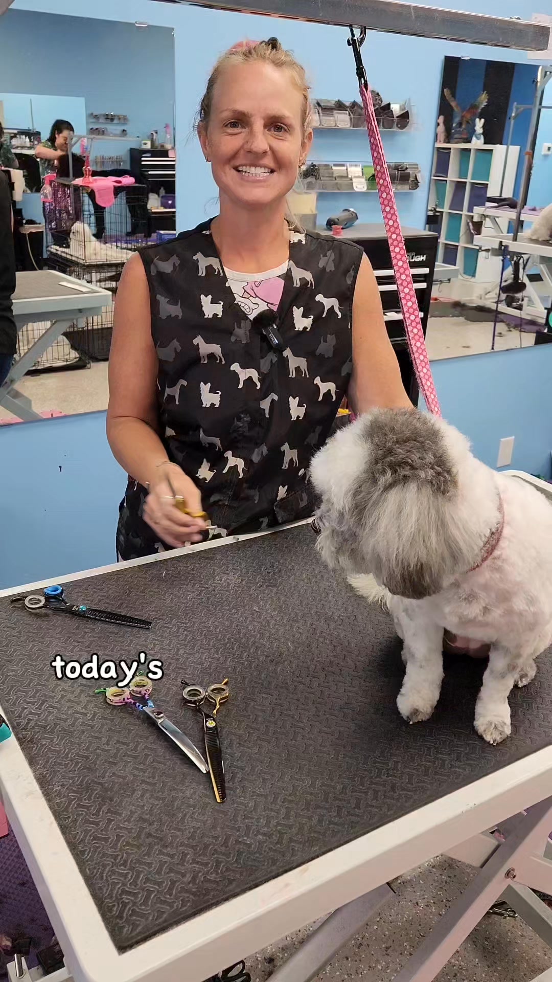 Grooming Snip Itz! Grooming a pig!! #minipig #petgrooming #blackpig # ...