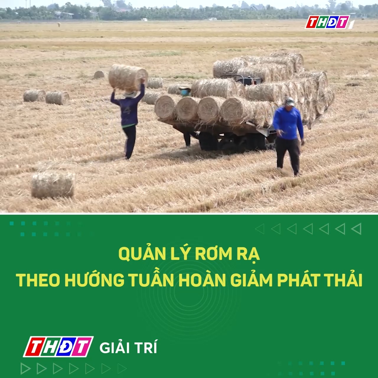 Quản lý rơm rạ theo hướng tuần hoàn giảm phát thải #thdt #thdtgiaitri # ...