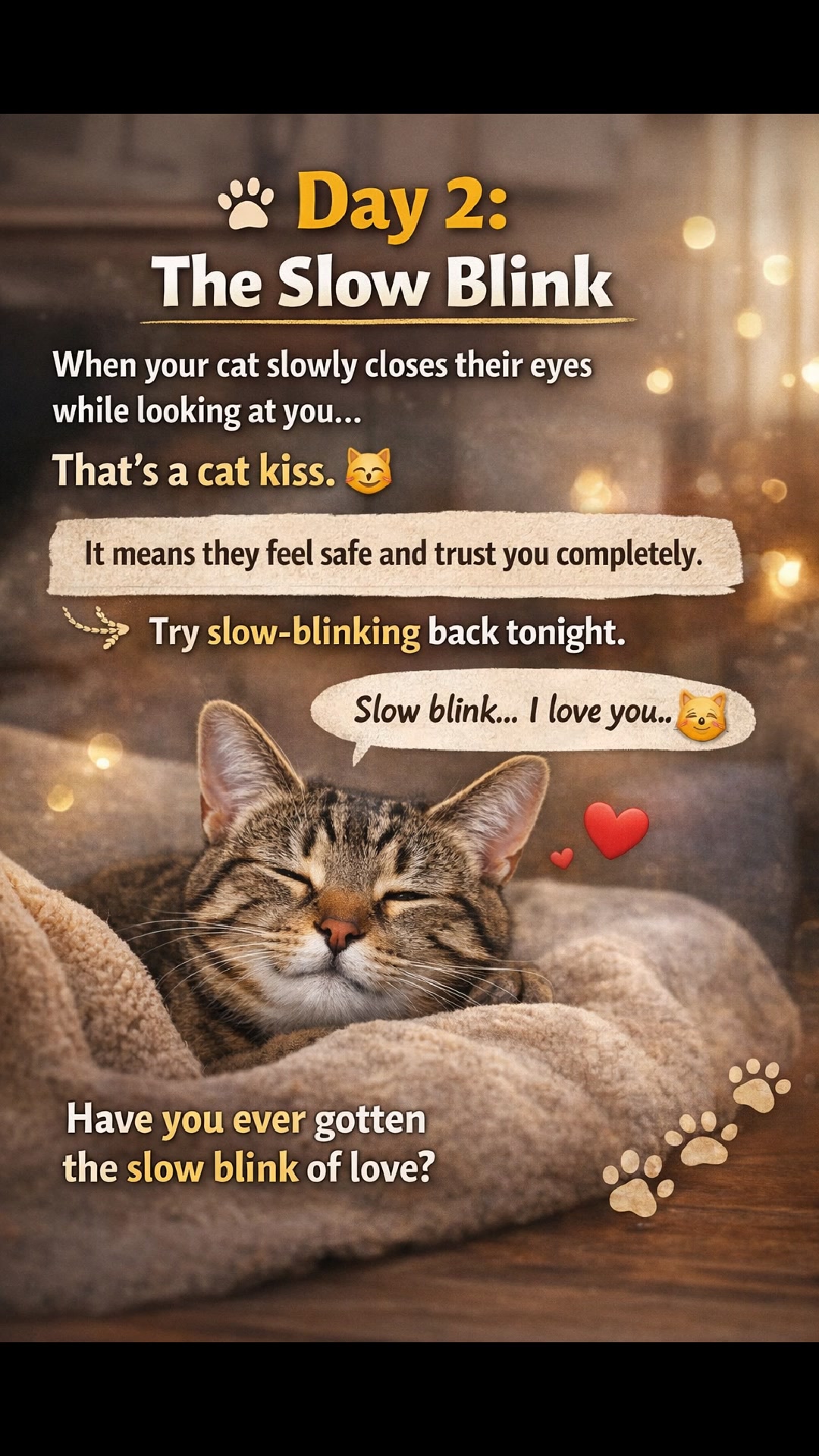 Interesting cat facts 😺 #reelsfypシ #trendingreel #catlovers # ...