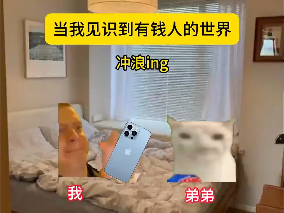 当我见识到有钱人的世界 . . . . #猫meme #00后 #真实还原 #搞笑 #猫meme小剧场 #万万没想到 #内容过于真实 ...