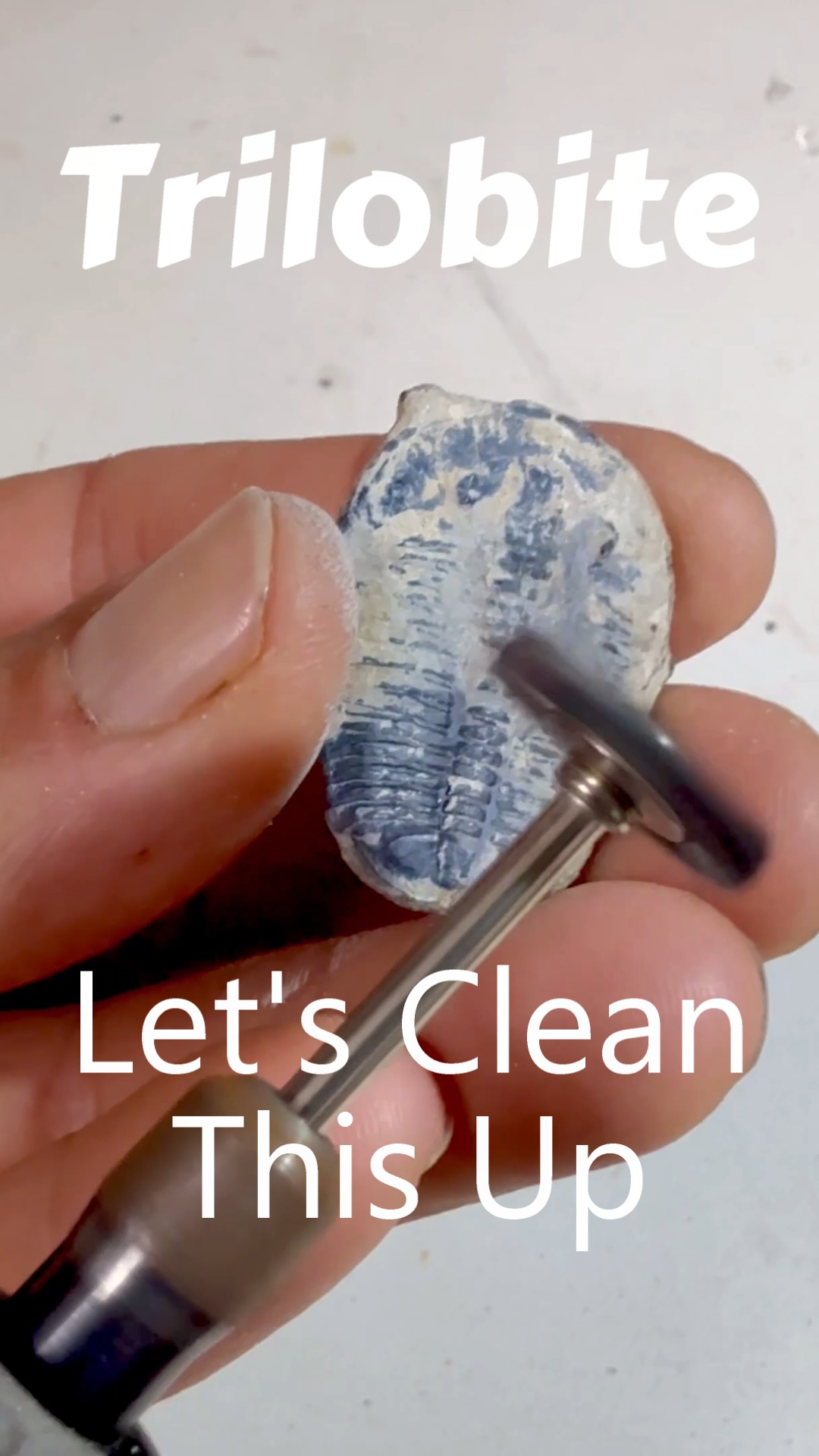 Here's an industry SECRET on how to clean your 250 MILLION year