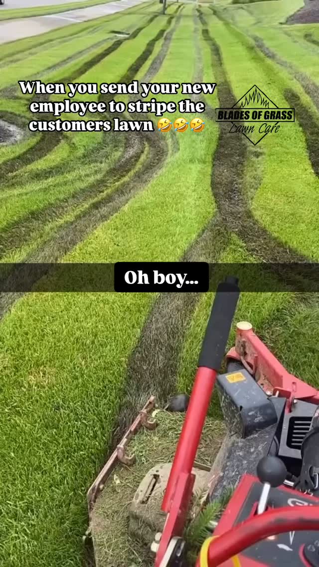 Fixing mud lines and ruts in a lawn typically caused by mowing on wet ...
