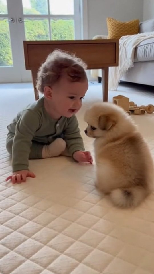 Baby Talks Sweetly to Upset Puppy and Wins Its Heart #BabyTalk # ...