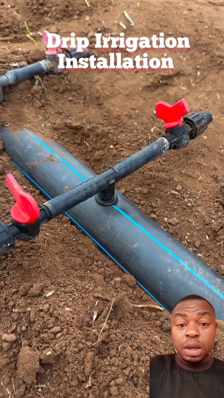 Amazing Techniques For Installing Drip Irrigation Pipes 🔥👀 #usareels # ...