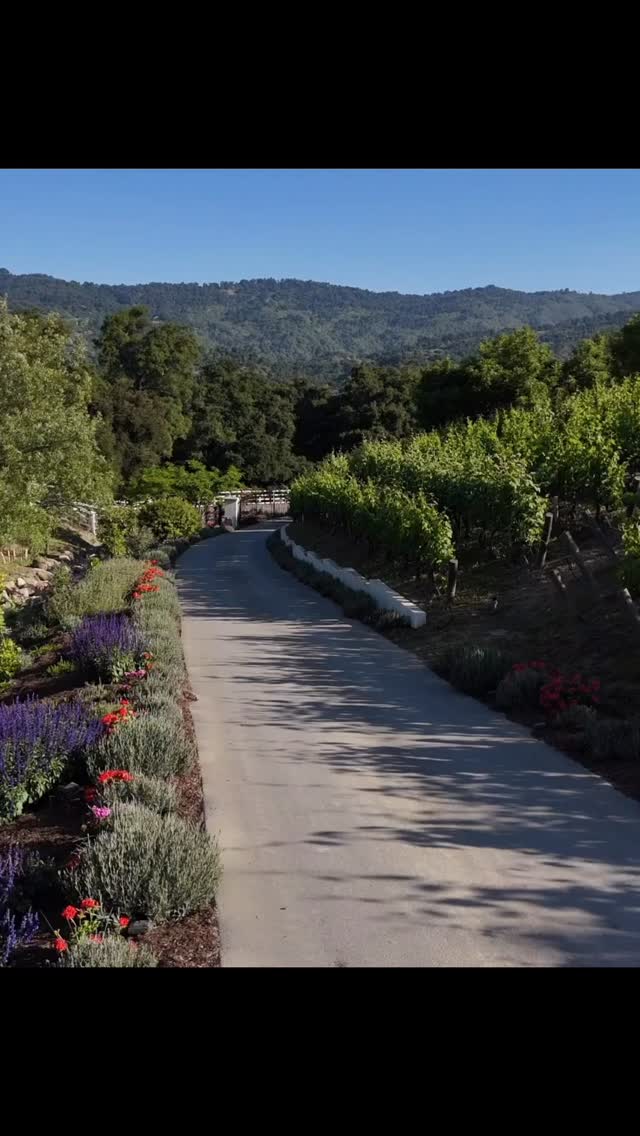 Summer is in full bloom at Bloom Ranch! 🌸 Join us July 26 & 27 for our ...