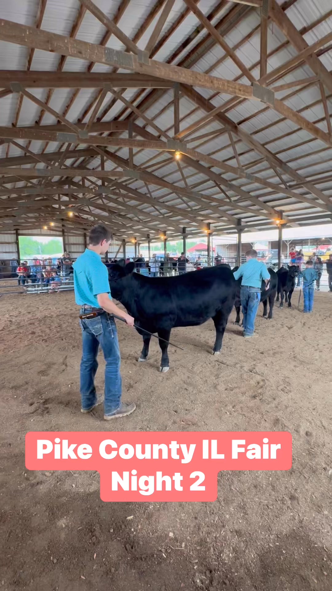 Night 2 of the Pike County IL Fair in the books! The Beef Show, pedal ...