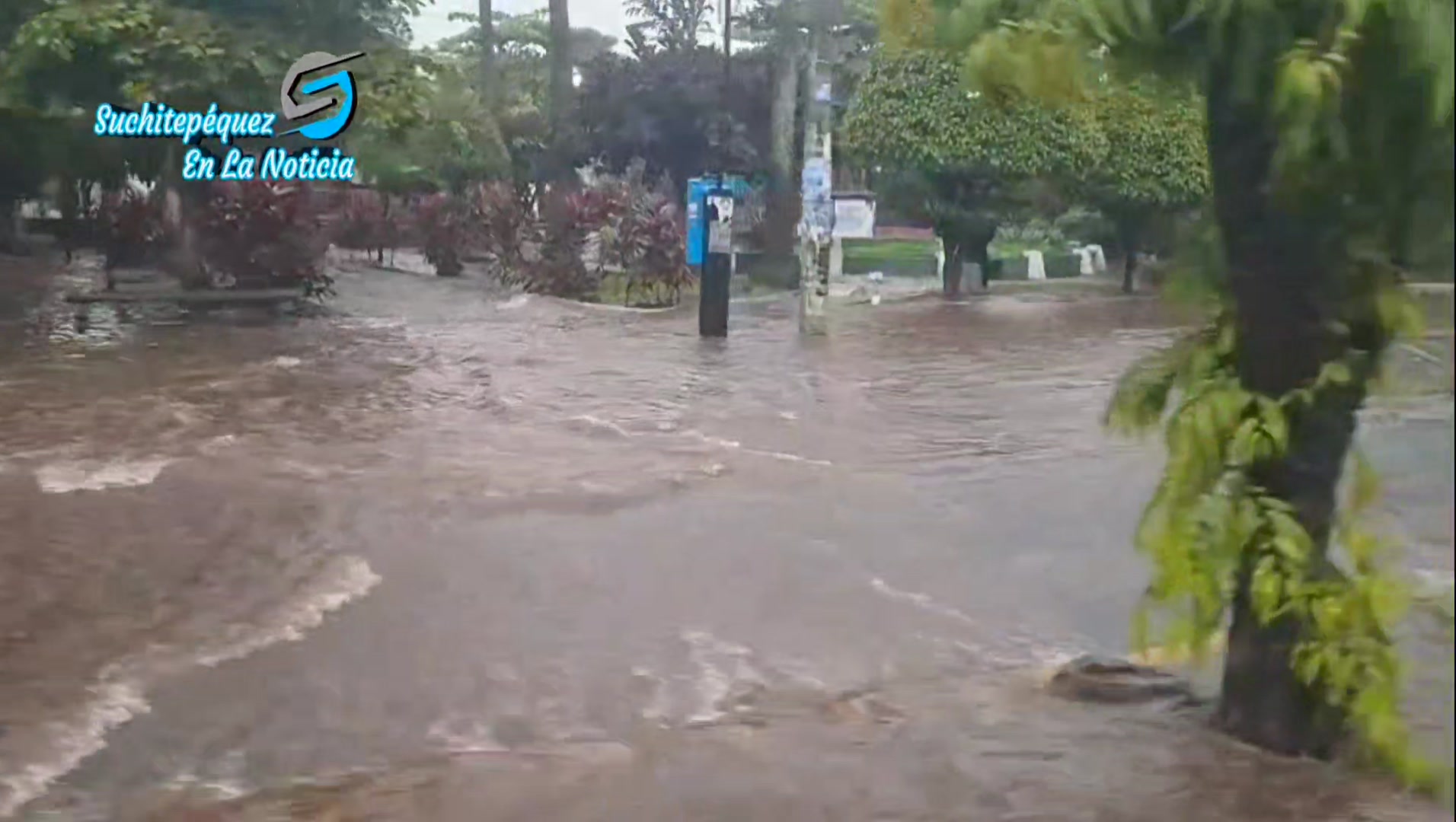 as-se-encuentra-frente-al-parque-flor-del-caf-de-la-calzada